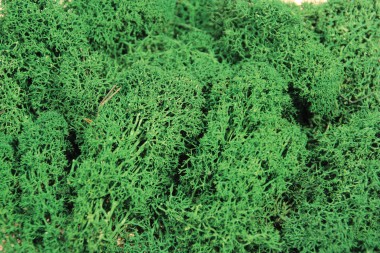 Heki 3211 Moos, dunkelgrün 