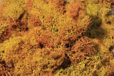 Heki 3216 Moos, schattiert 