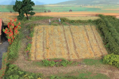 Heki 33520 Grasfaser Stoppelfeld, 50 g, 2-3 mm 