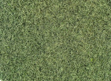 Heki 33540 Grasfaser Willdgras Wintergras 75g, 6mm 