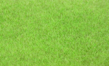 Heki 33541 Grasfaser Willdgras Steppengras hell 