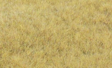 Heki 33543 Grasfaser Wildgras Heuwiese, 75 g 5-6 mm 