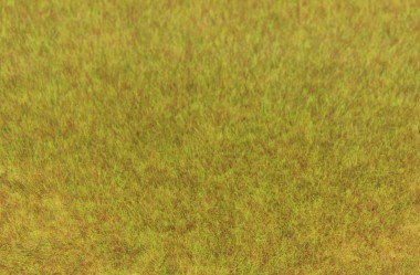 Heki 3371 Grasfaser Wildgras Herbst 