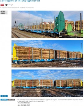 Sudexpress S4657002 Innofreight Doppeltragwagen-Set Ep.6 