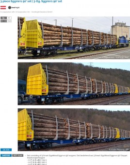 Sudexpress S4657005 Innofreight Doppeltragwagen-Set Ep.6 