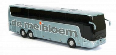 Holland oto 8-1148G VanHool Astron TX de meibloem grau 