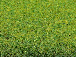 Noch 00010 Grasmatte Frühlingswiese, 200 x 100 cm 