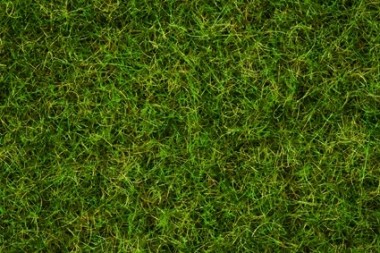 Noch 07072 Grasmischung Sommerwiese 