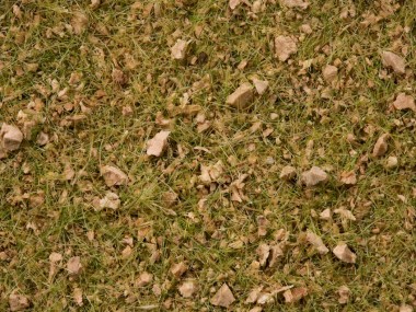 Noch 07075 Grasmischung Almwiese 