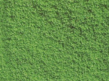 Noch 07202 Flockage, hellgrün 