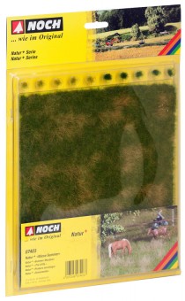 Noch 07403 Wiese Sommer 