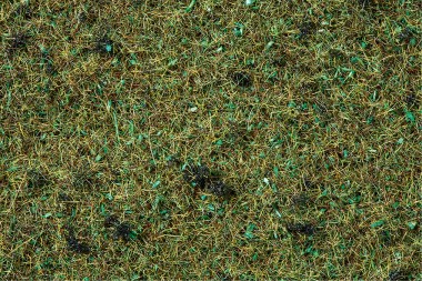 Noch 08157 Streugras Waldboden 