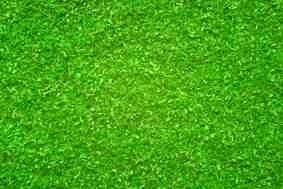 Noch 08411 Streumaterial Almgrund 