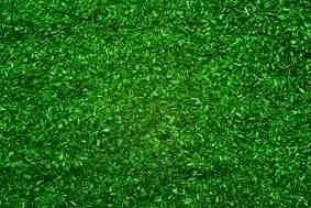 Noch 08470 Streumaterial Waldboden 