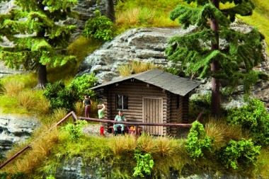 Noch 14342 Waldhütte 