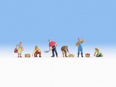 Noch 15613 Erntehelfer 