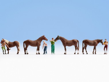 Noch 15632 Pferdepflege 