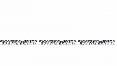 Noch 16164 XL-Set Kühe schwarz-weiß - 21 Figuren 