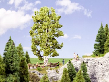 Noch 21641 Doppelstämmige Birke, 19 cm hoch  