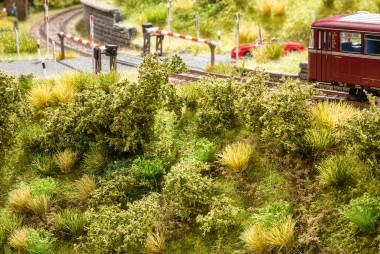 Noch 23102 Bahndammbewuchs 