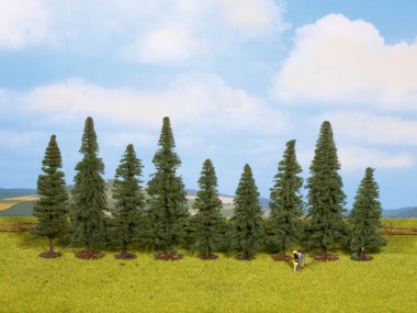 Noch 25086 Tannen, 9 St. 