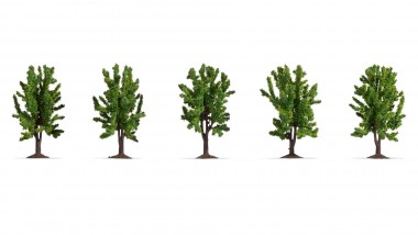 Noch 25620 Laubbäume 