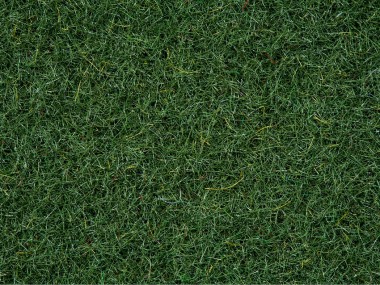 Noch 50200 Streugras Moorboden 