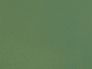 Noch 61194 Acrylfarbe, hellgrün 