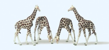 Preiser 79715 Giraffen 