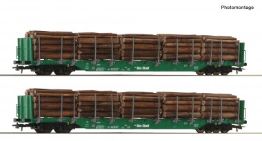 Roco 6600319 OnRail 2-tlg. Set: Rungenwagen Ep.6 