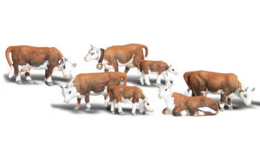 Woodland WA2144 N Hereford Cows 