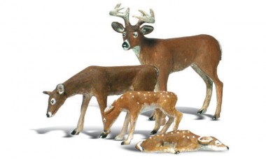 Woodland WA2543 Buck and Family 