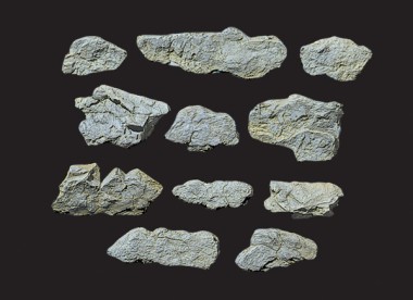 Woodland WC1231 Gießform: Oberflächen Felsen 