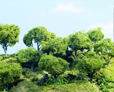 Woodland WTK25 Baumbausatz: Hartholzbäume, 3 St. 