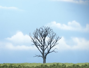 Woodland WTR1614 1 dürrer Ahorn 11 cm 