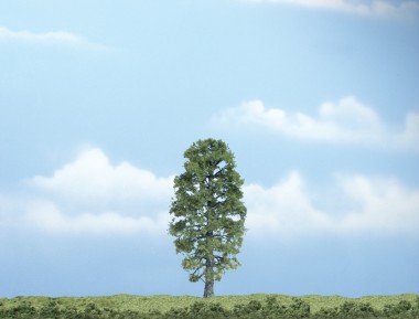 Woodland WTR1618 1 Linde 10 cm 