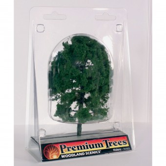 Woodland WTR1623 1 Hickorybaum 12,5 cm 