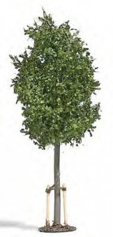 Busch 10627 Junge Linde 