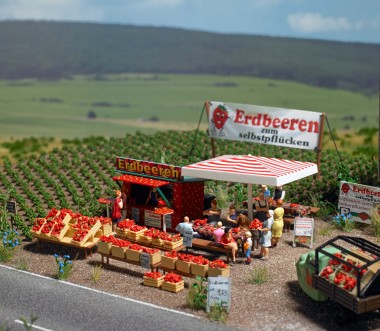 Busch 1073 Erdbeer Verkauf 