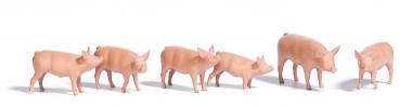 Busch 1172 Schweine, 6 St. 
