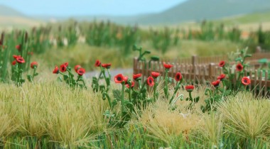 Busch 1255 Klatschmohn 