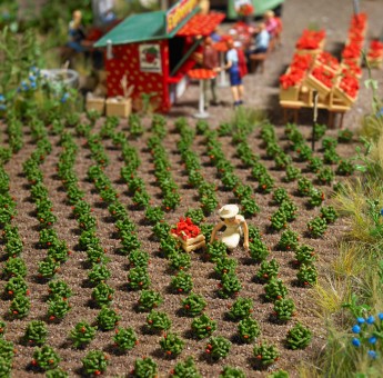 Busch 1265 Erdbeerpflanzen 