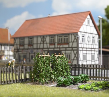 Busch 1269 Stangenbohnen 