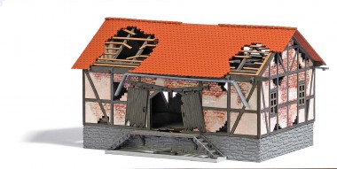 Busch 1664 Verfallener Güterschuppen 