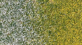 Busch 3546 Blütenbüschel Frühling 