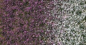 Busch 3548 Blütenbüschel Spätsommer 