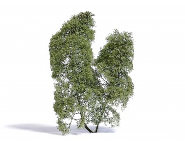 Busch 3581 Filigranbusch Fühling 