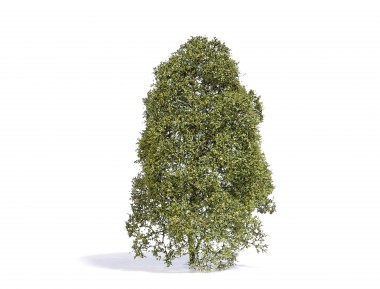 Busch 3586 Filigranbusch Fühling 