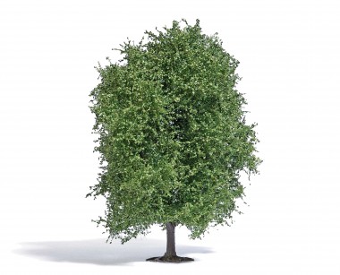 Busch 3732 Buche Sommer 125 mm 