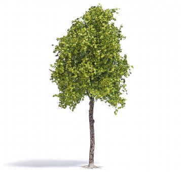 Busch 3791 Platane Frühling 170 mm 